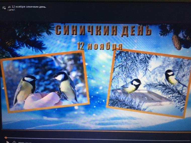 Синичкин день.